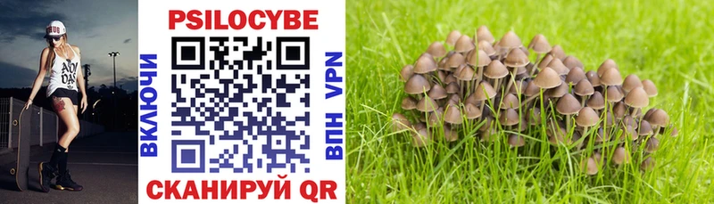Псилоцибиновые грибы Psilocybe  Брянск 
